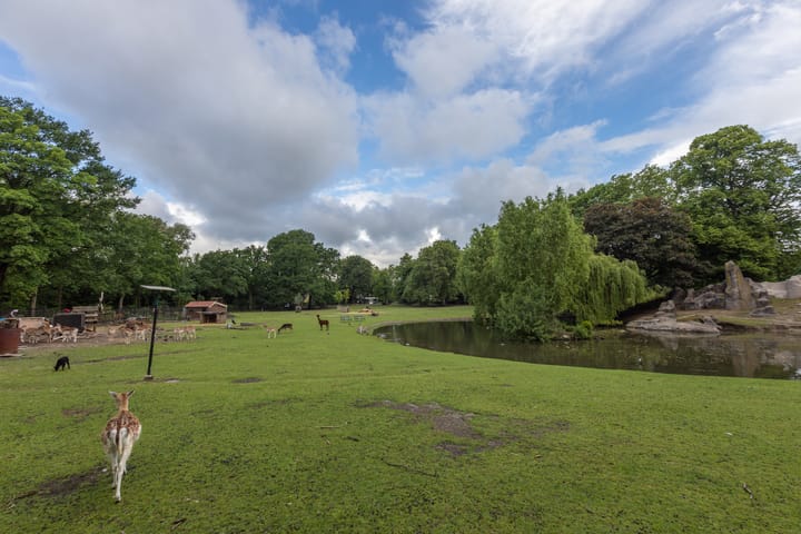 Foto 26 van Amsterdamsestraatweg 737-D