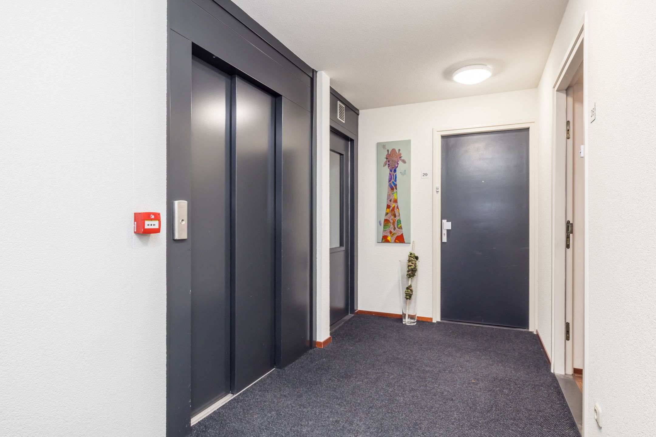 Foto 9 van Sint Pietershof 28