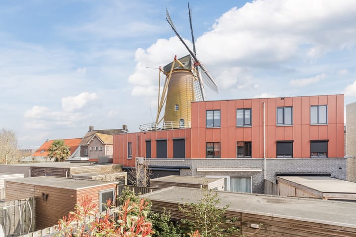 Foto 49 van Spinaker 30