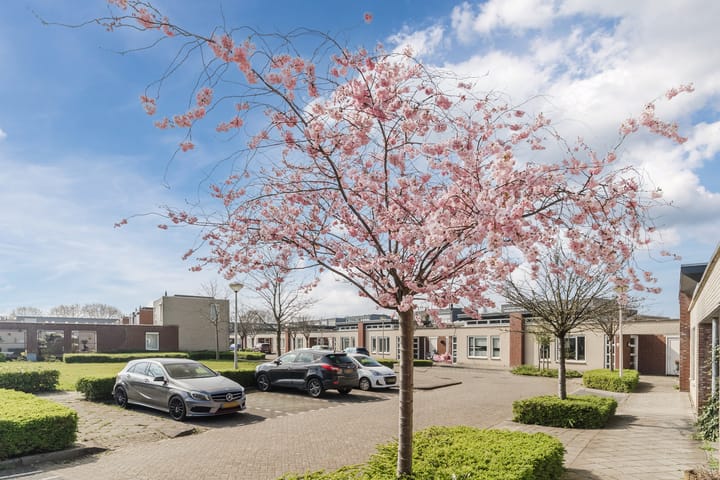 Foto 61 van Spinaker 30