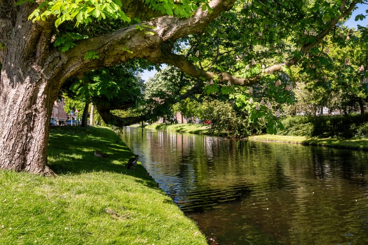 Foto 33 van Hulkstraat 25-D