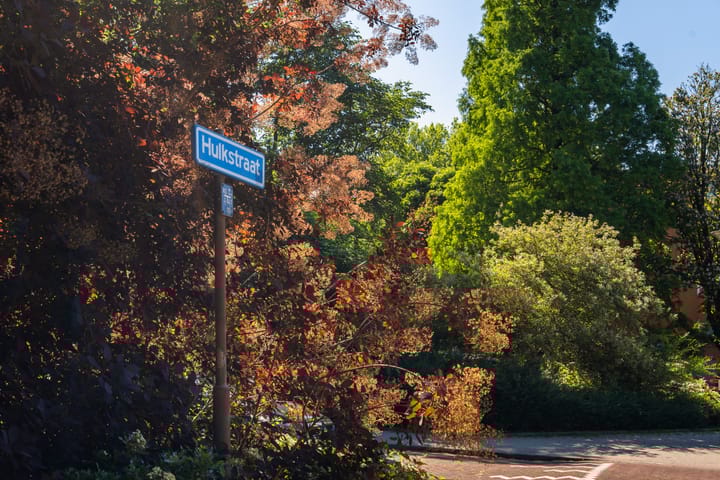 Foto 35 van Hulkstraat 25-D