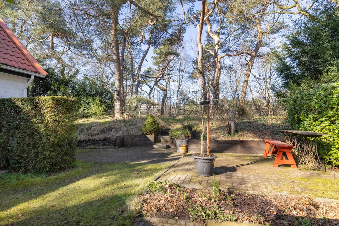 Foto 28 van Burgemeester Van der Borchlaan 7-601