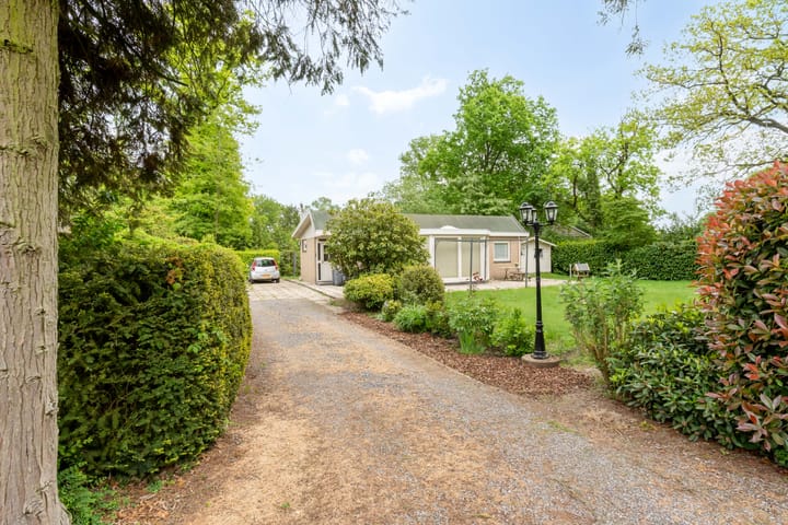 Foto 2 van Kievit 12-B373