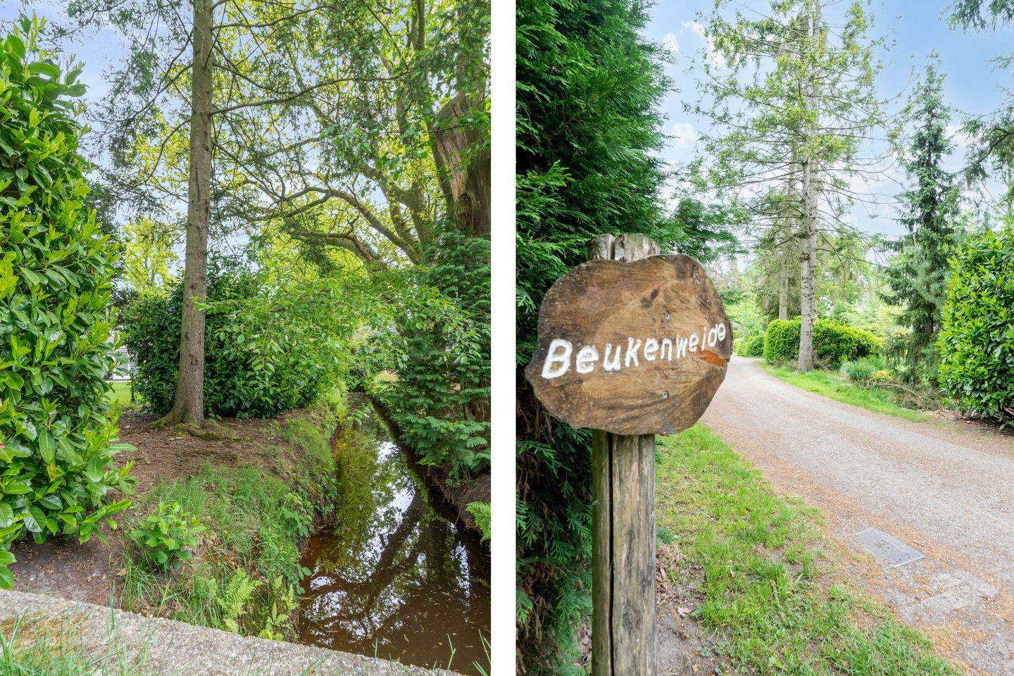 Foto 19 van Kievit 12-B373