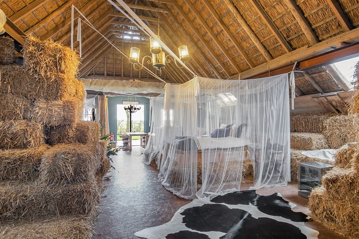 Photo 33 of Jensemaweg 3