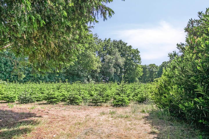 Foto 39 van St. Jorisweg 18