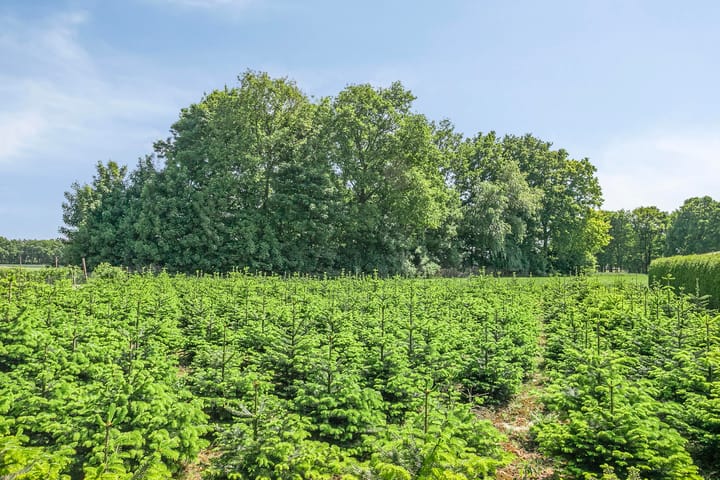 Foto 40 van St. Jorisweg 18