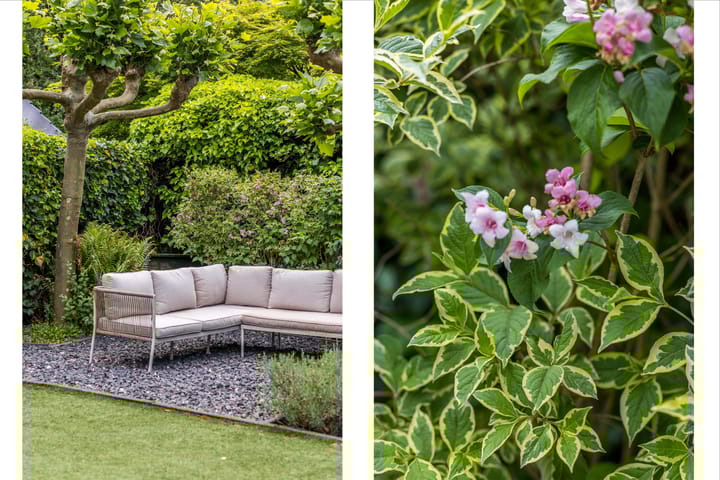 Foto 43 van Jan Schierecklaan 1