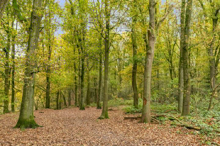 Foto 48 van Röntgenlaan 1