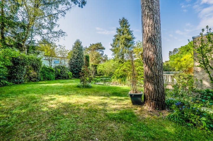 Foto 34 van Röntgenlaan 1