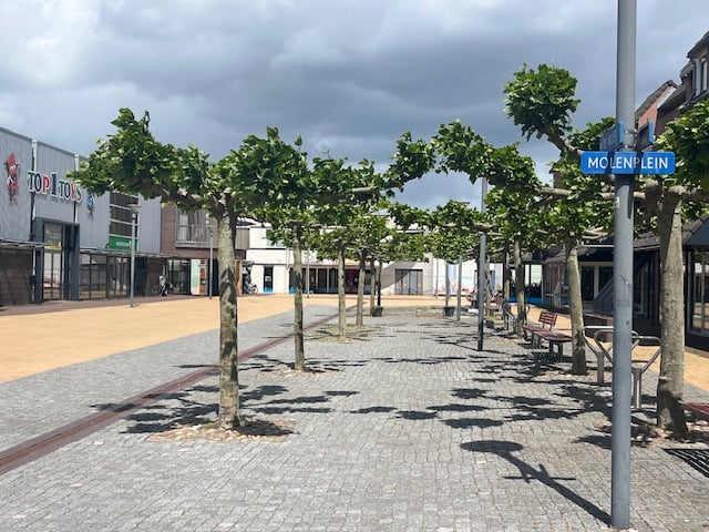 View photo 4 of Molenplein 5