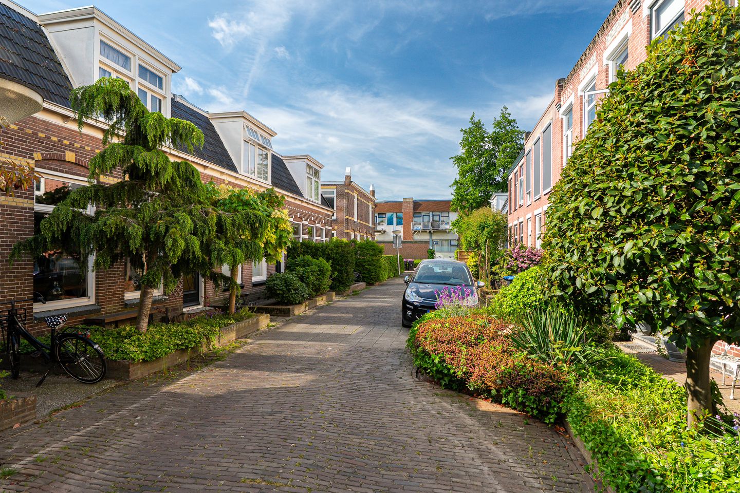 Foto 4 van Schalk Burgerstraat 35