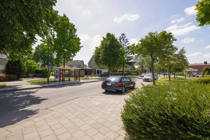 Foto 8 van De Meeren 243