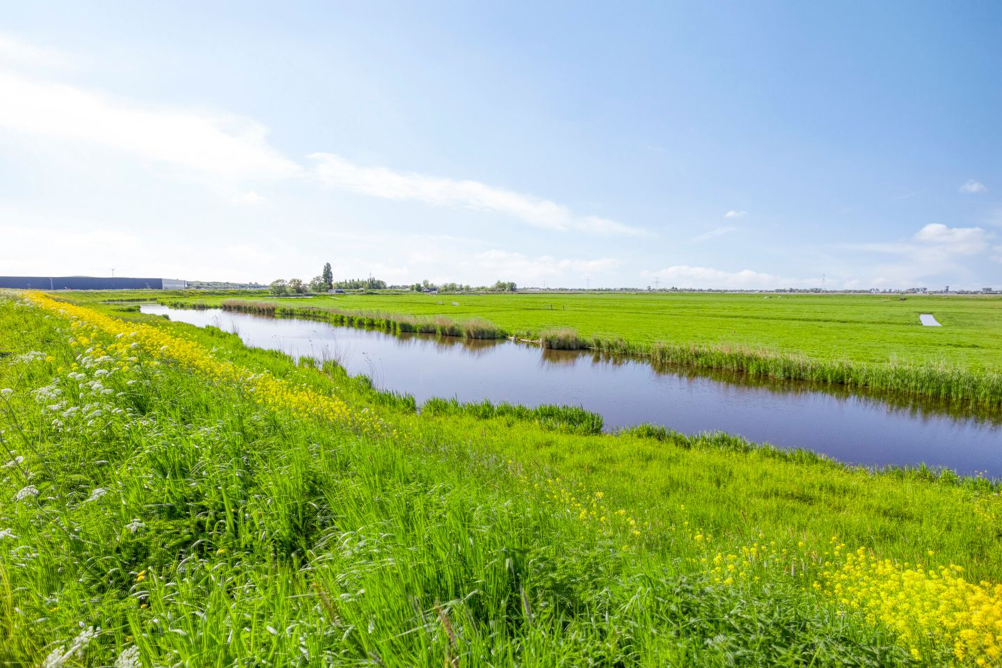 Foto 59 van Jaap de Boerstraat 21