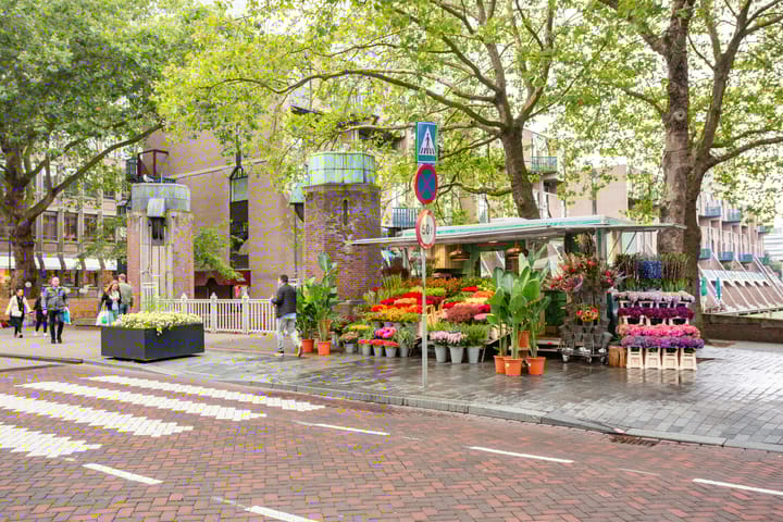 Foto 26 van Noordmolenwerf 29