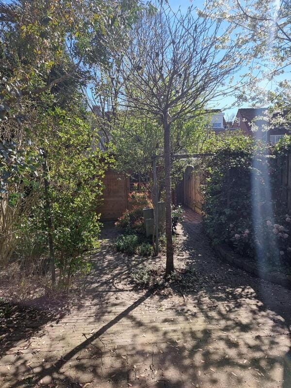 Foto 37 van Woudrichemstraat 65