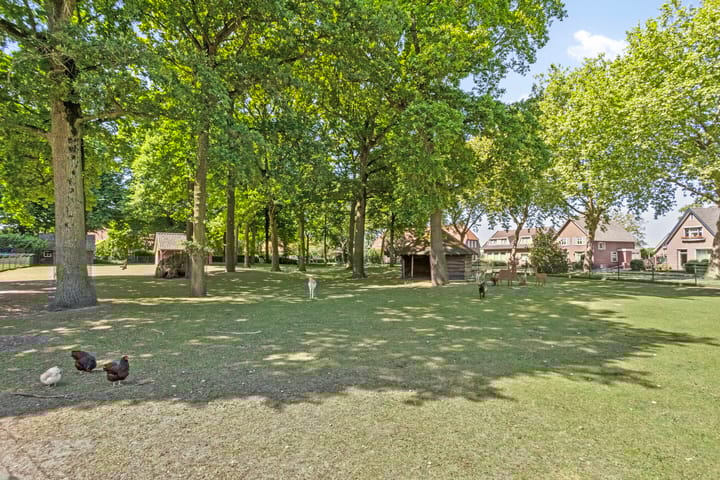 Foto 26 van D'n Tip 14