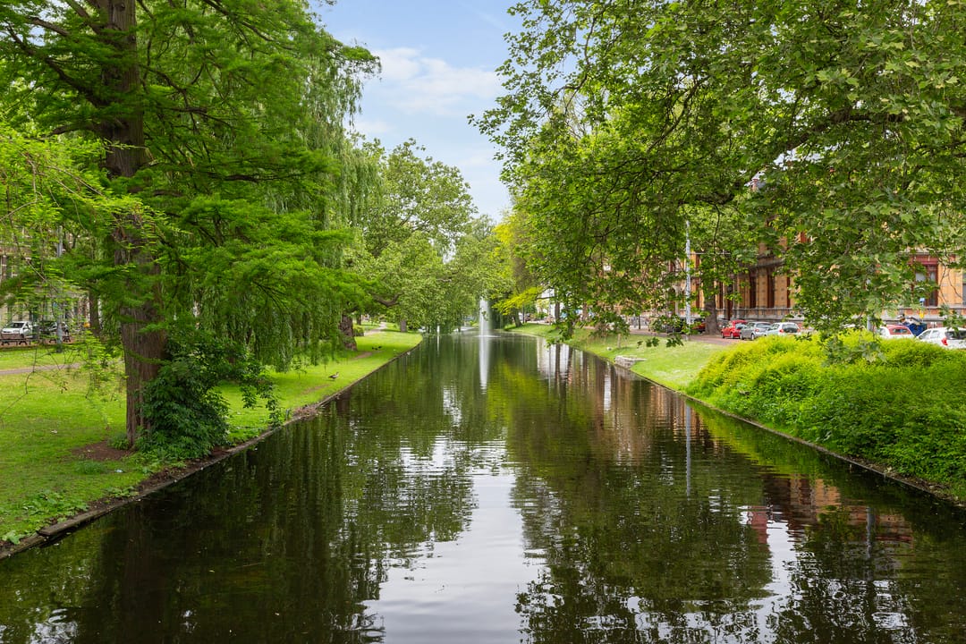 Foto 31 van Noordsingel 115-M