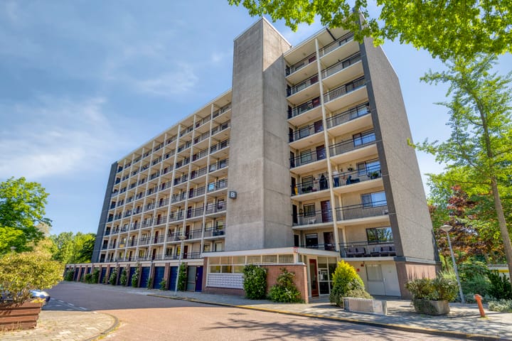 Foto 4 van Amerbos 228