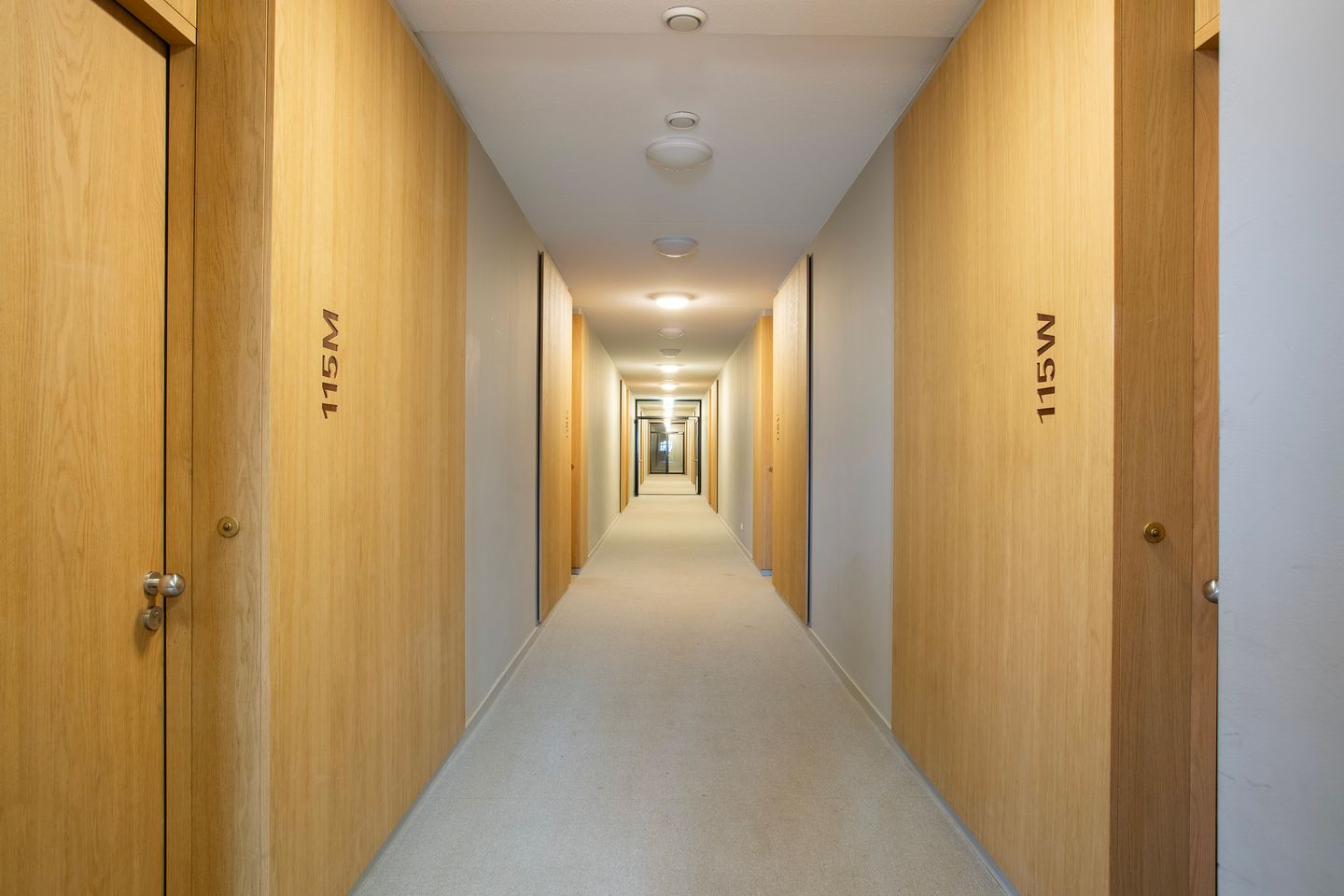 Foto 40 van Noordsingel 115-M