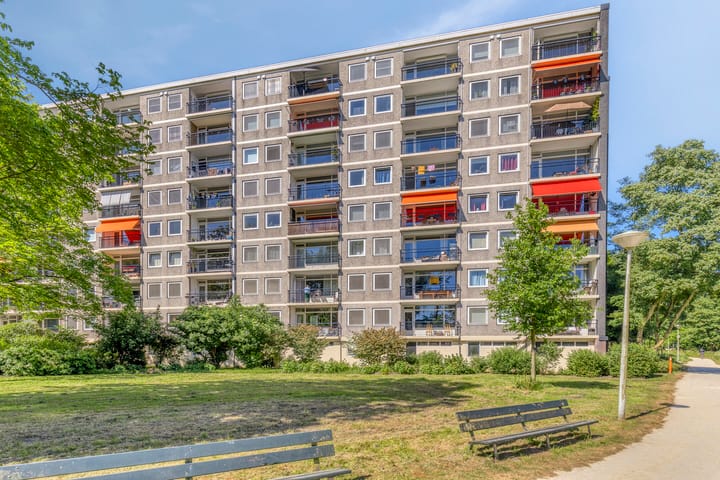 Foto 6 van Amerbos 228