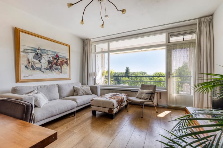 Foto 14 van Amerbos 228