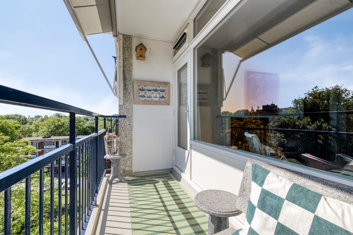 Foto 36 van Amerbos 228