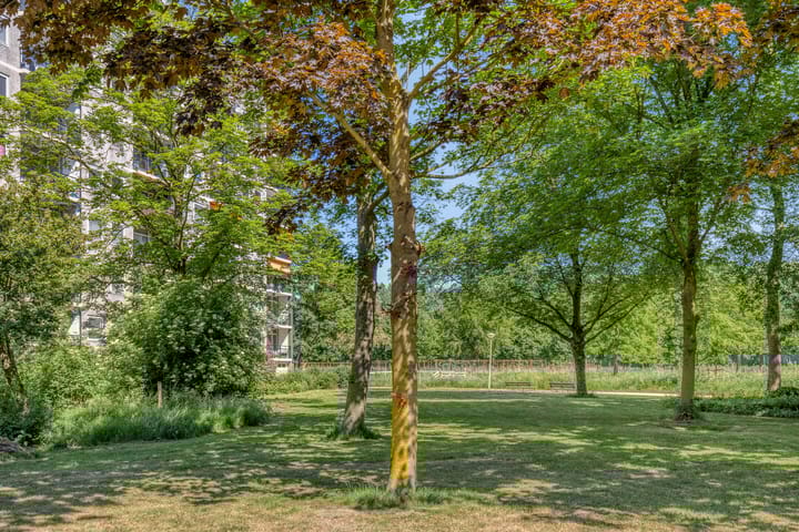 Foto 39 van Amerbos 228