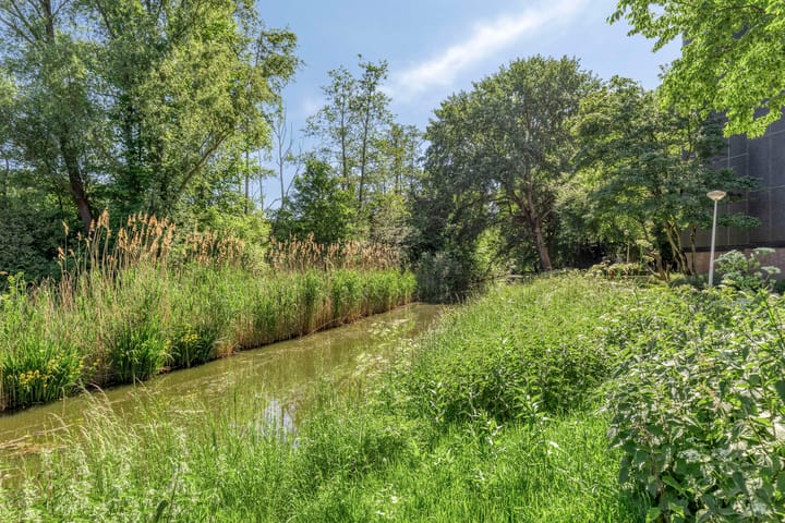 Foto 40 van Amerbos 228