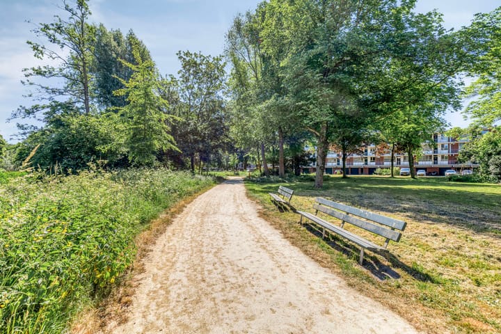 Foto 41 van Amerbos 228