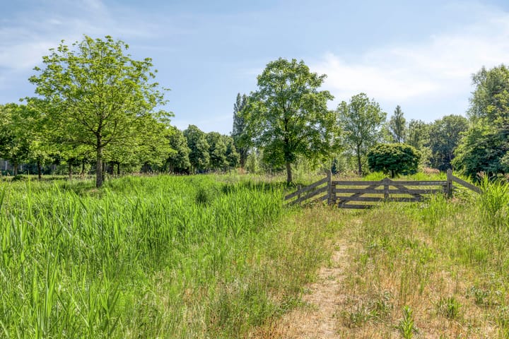 Foto 43 van Amerbos 228