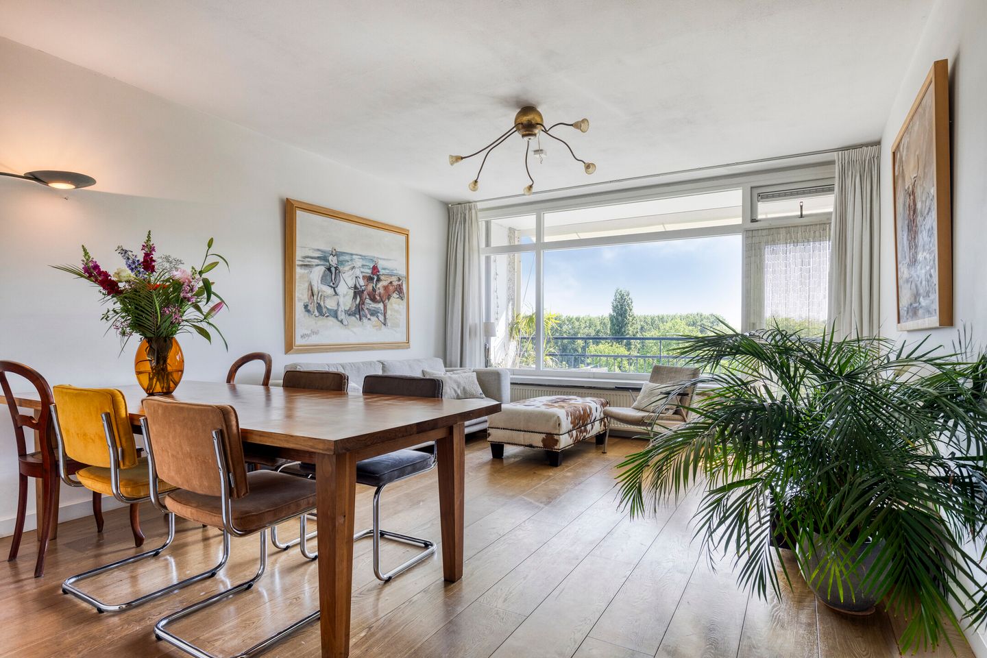 Foto 1 van Amerbos 228