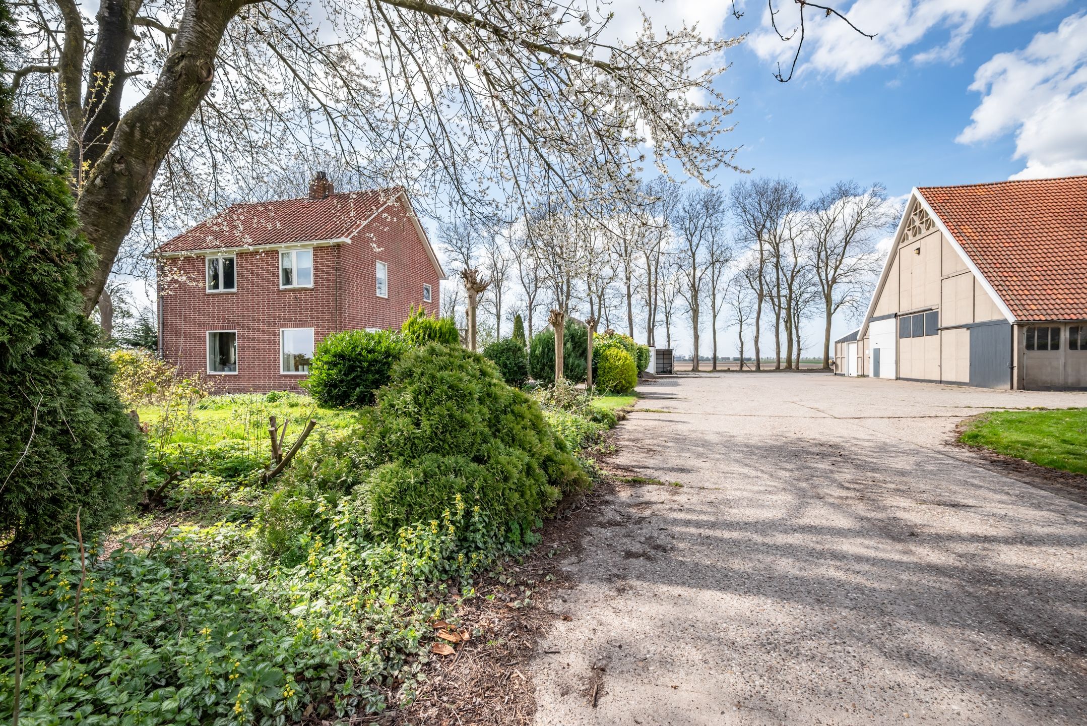 Foto 6 van Lindeweg 21