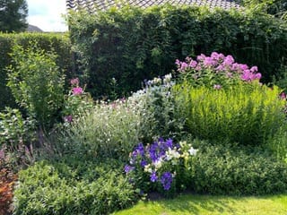 Foto 50 van Torenlaan 11