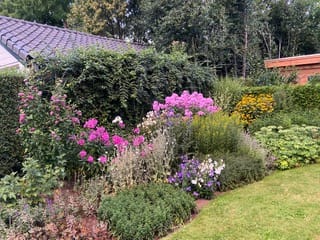 Foto 51 van Torenlaan 11