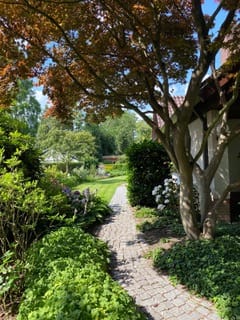 Foto 57 van Torenlaan 11