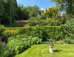 Foto 61 van Torenlaan 11