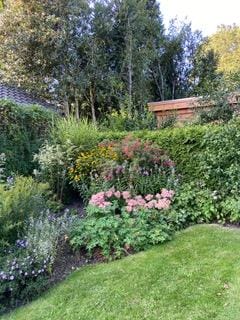 Foto 64 van Torenlaan 11