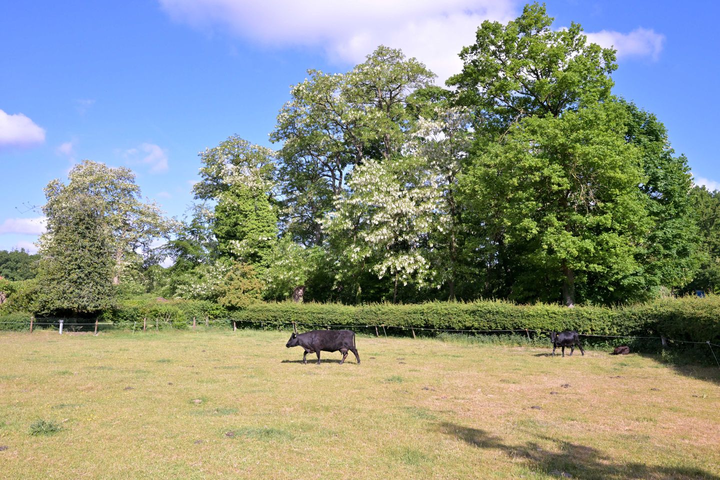 Foto 70 van Dorpsstraat 6