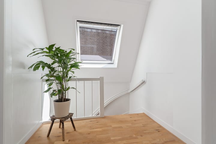 Foto 39 van Van Pallandtstraat 21