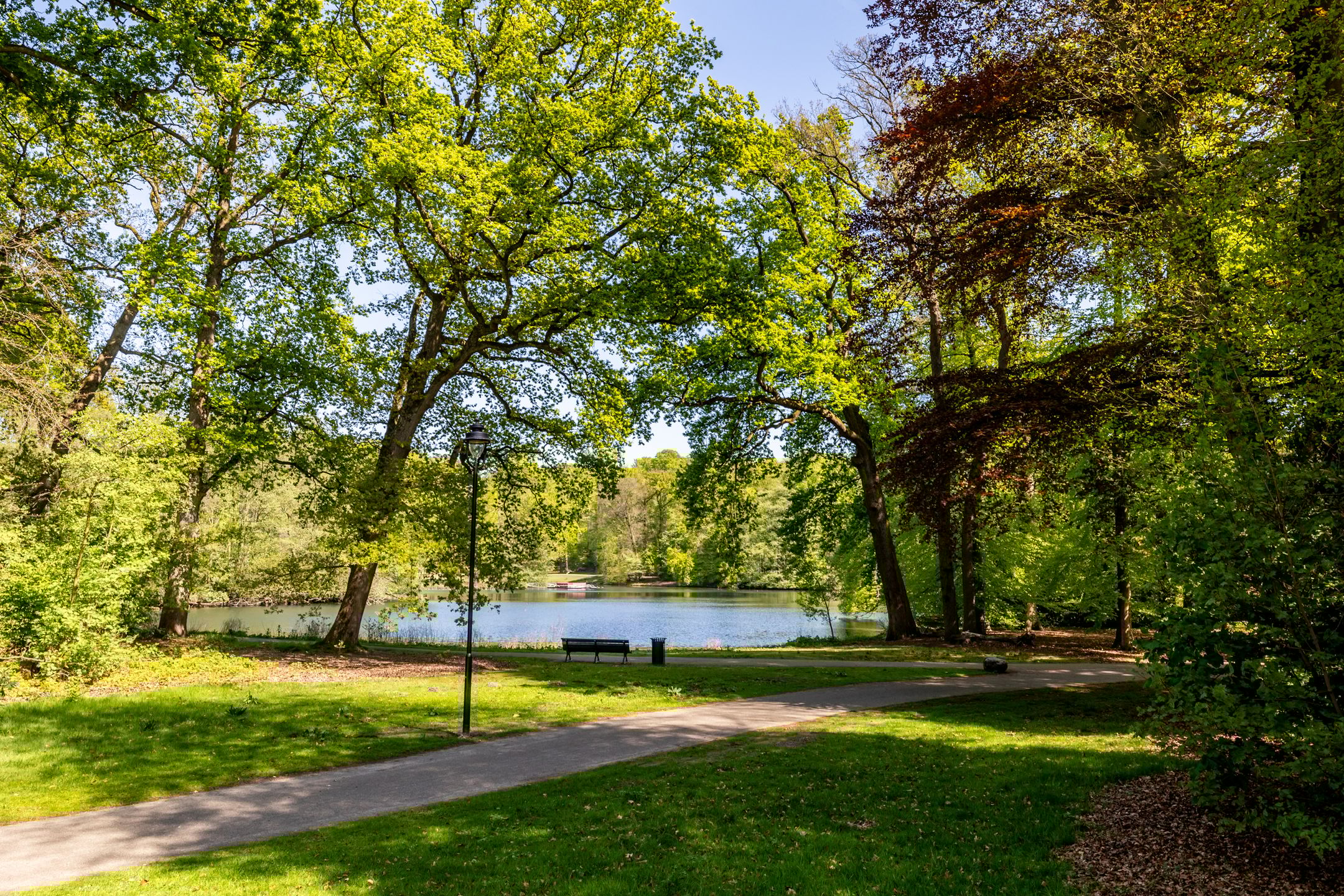 Foto 60 van Van Pallandtstraat 21