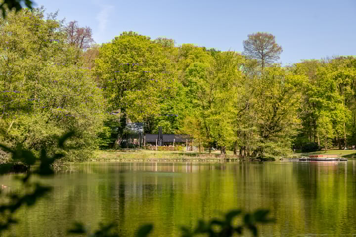 Foto 62 van Van Pallandtstraat 21