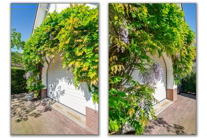 Photo 12 of Vlasoever 32