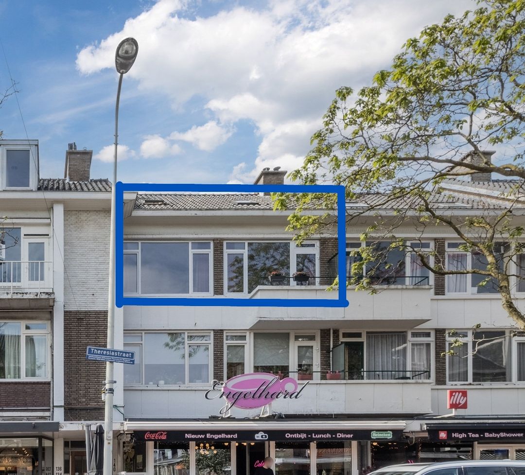 Foto 2 van Theresiastraat 140