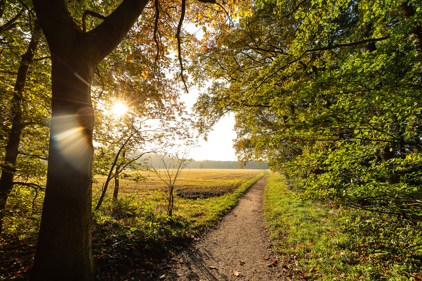 Foto 40 van Schuttersweg 28