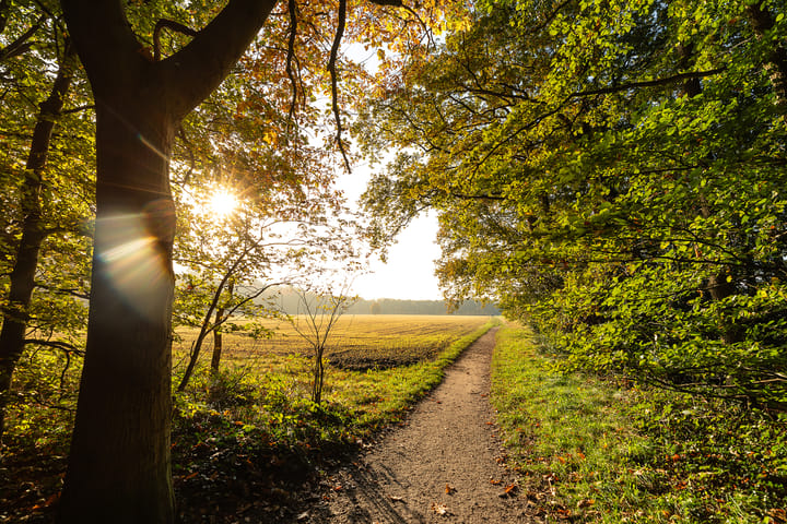 Foto 40 van Schuttersweg 28