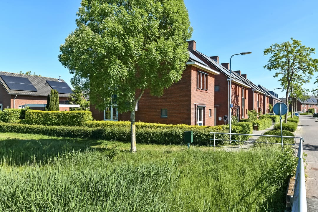 Photo 13 of Quadrans 32