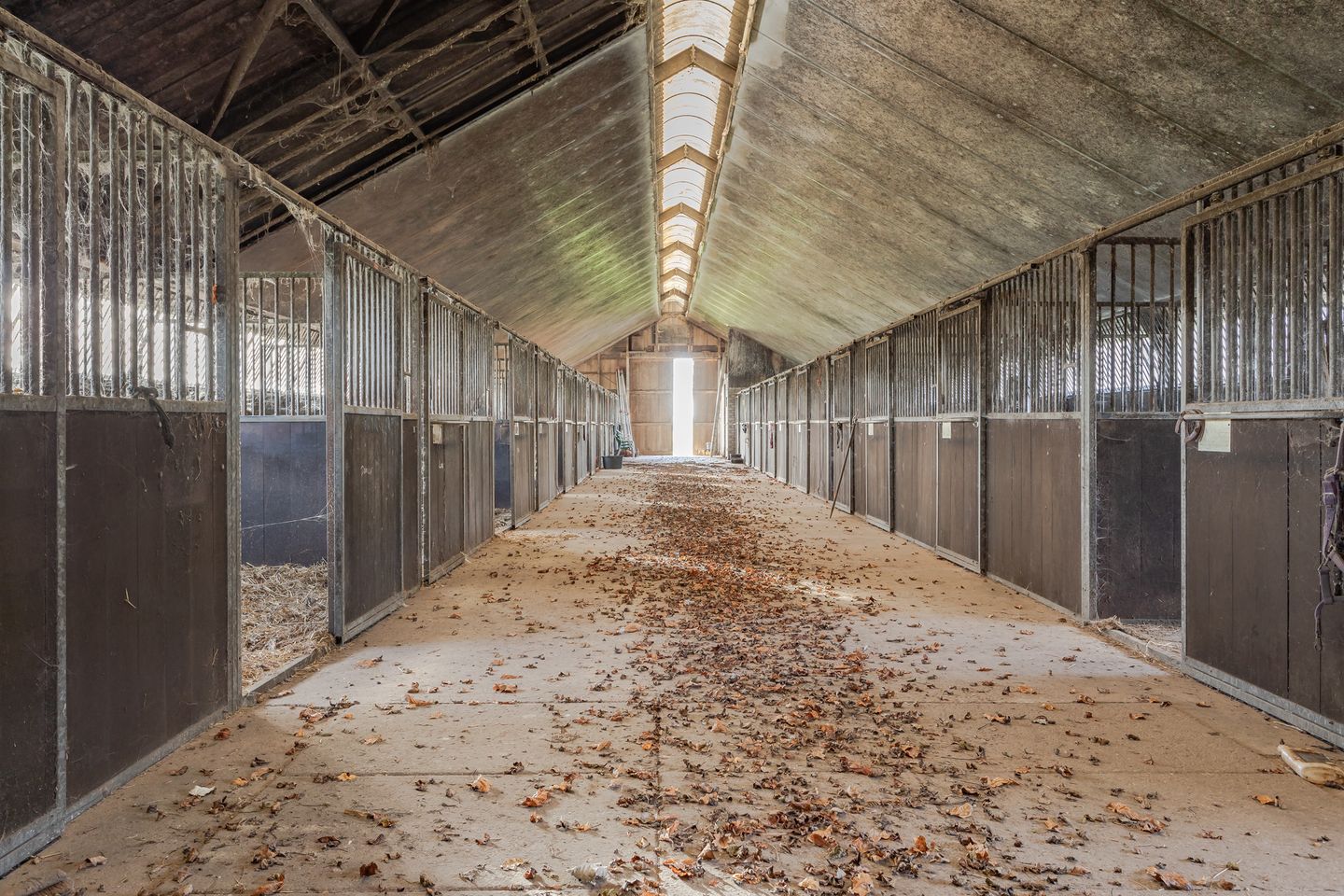 Foto 5 van Egmondermeer 19