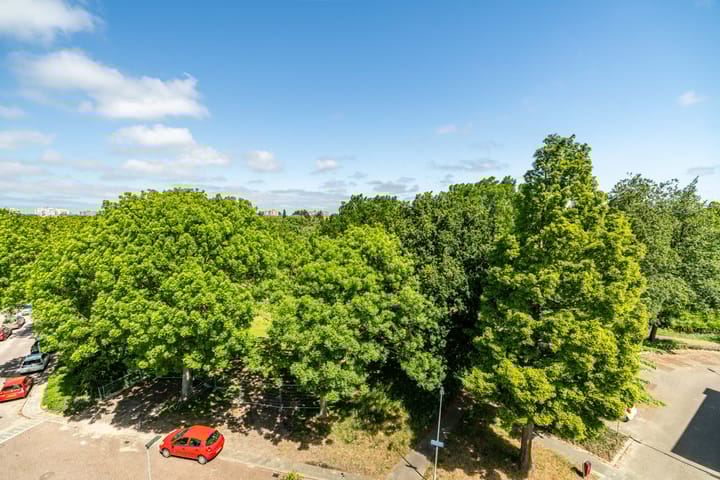 Foto 32 van Reuvenslaan 95-J